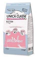 Unica Classe Kitten Development ()