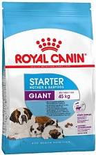 Royal Canin Giant Starter 